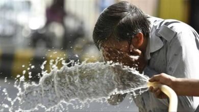 الطقس اليوم الخميس 28 أغسطس.. حرارة مرتفعة وشبورة كثيفة وأمطار خفيفة على بعض المناطق