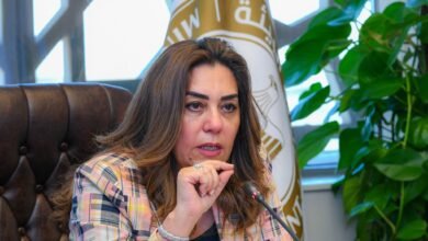 وزيرة التنمية المحلية تصدر قراراً بتنظيم صيد الطيور البرية في عدد من المحافظات المصرية