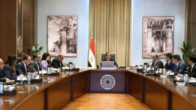 رئيس الوزراء يلتقي مسئولى شركة " صن ريف سولار" الصينية المتخصصة في إنتاج مكونات الطاقة المتجددة