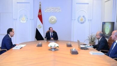 الرئيس السيسي يجتمع مع رئيس الوزراء ووزير الكهرباء 