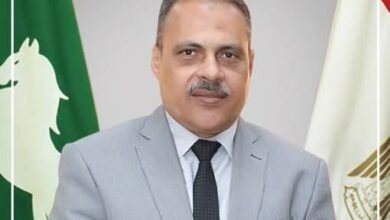 محافظ الشرقية يُهنئ أبناء المحافظة والقيادات التنفيذية والعسكرية وأعضاء مجلسي النواب والشيوخ 