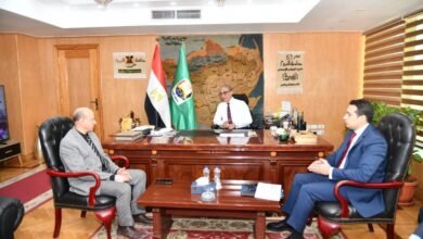 محافظ الفيوم يناقش آليات توفير القدرات الكهربائية لتشغيل عدد من المشروعات بدمو