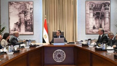 رئيس الوزراء يتابع الموقف التنفيذي لمشروعات الطاقات المتجددة