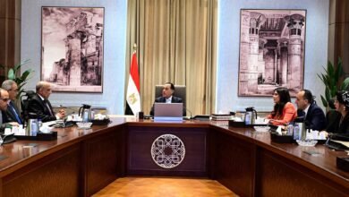 رئيس الوزراء يتابع عددا من ملفات عمل وزارة الكهرباء والطاقة المتجددة