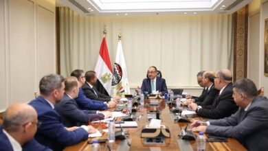 وزير قطاع الأعمال يبحث مع "سيمنس للطاقة" فرص التعاون ونقل التكنولوجيا والطاقة المتجددة