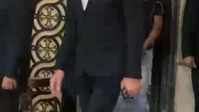 محمود حميدة وداليا البحيري أول حضور حفل زفاف نجل هاني رمزي