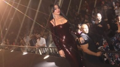 هيفاء وهبي تتألّق في حفلٍ جماهيري كامل العدد بالأردن.. ليلة مُبهرة وتفاعل استثنائي مع أغنيات "ميجا هيفا"