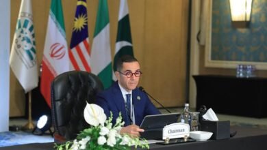 وزير الاستثمار والتجارة الخارجية يعلن اعتماد "إعلان القاهرة للتجارة" 