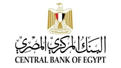  42.8% زيادة في تحويلات المصريين العاملين بالخارج خلال الشهور العشر الأولى من عام 2025    