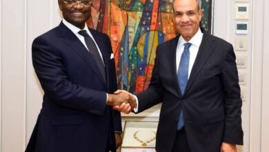 وزير الخارجية يستقبل رئيس البنك الأفريقي للتصدير والاستيراد