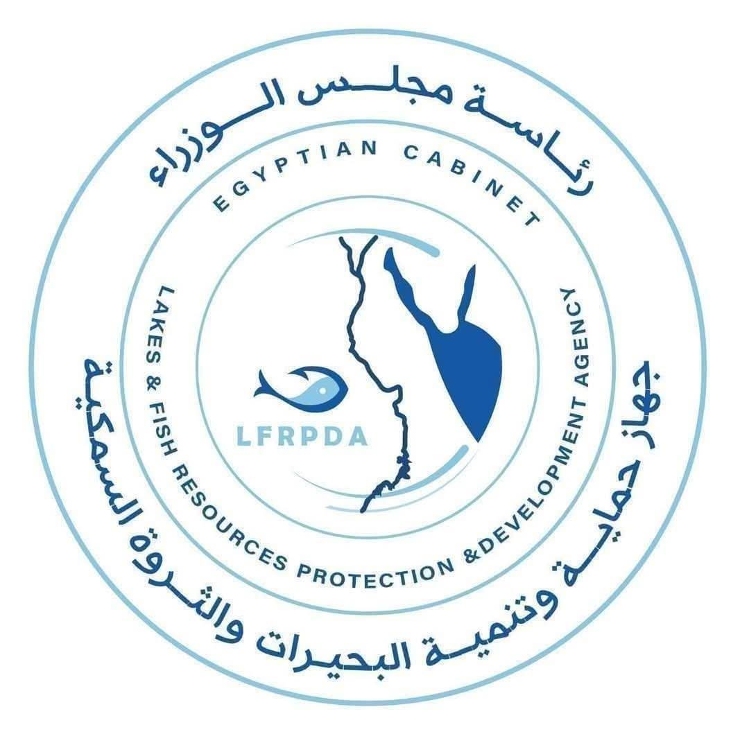 جهاز حماية وتنمية البحيرات والثروة السمكية يواصل أعمال الصيد بمزرعة الزاوية السمكية بكفر الشيخ