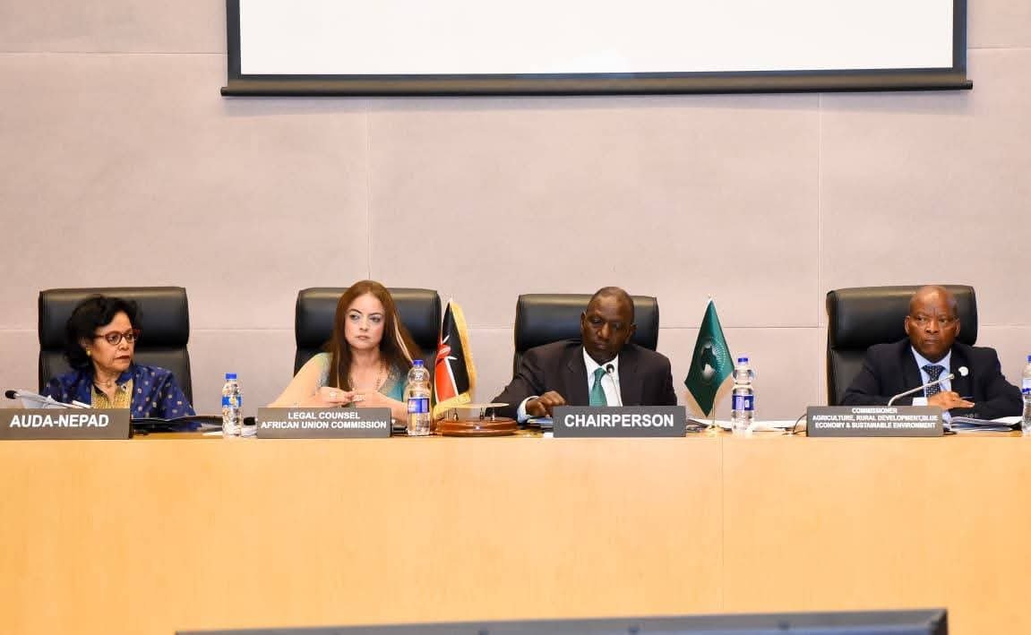 عبد العاطي يشارك في اجتماع لجنة رؤساء الدول والحكومات الأفارقة المعنية بتغير المناخ (CAHOSCC)