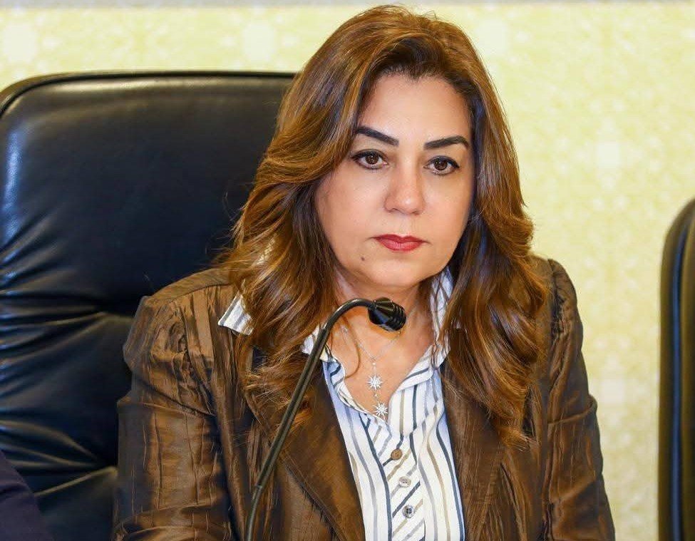 وزيرة التنمية المحلية : حملات مفاجئة لقطاع التفتيش والمتابعة على مراكز ومدن محافظة أسوان خلال الأسبوع الأول من شهر فبراير الجاري