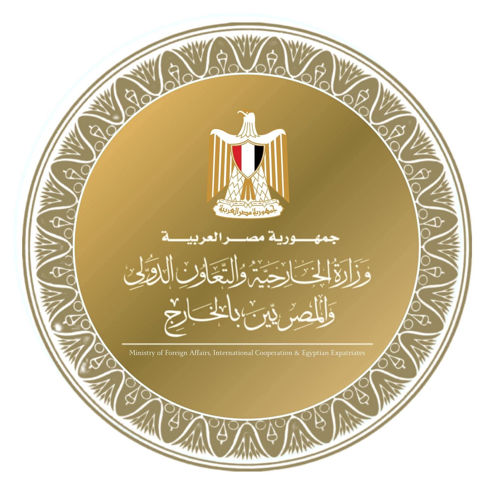 وزارة الخارجية تتابع بشكل مستمر احتياجات وشئون المصريين بالخارج وتكثف جهود تيسير الخدمات المقدمة لهم