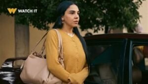 خريطة العرض الكاملة لـ 26 مسلسلًا من 15 حلقة في رمضان 2026... تعرف عليهم