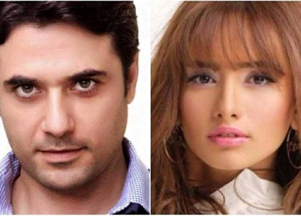 لماذا خفّضت «استئناف الأسرة» زيادة نفقة نجلي أحمد عز؟ 