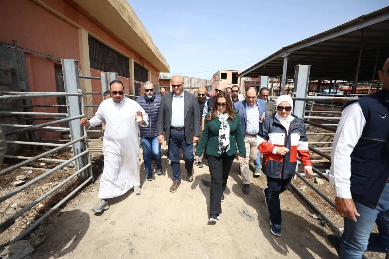 وزيرة التنمية المحلية ومحافظ الإسكندرية يزوران المجزر الآلي بالعامرية للوقوف على جميع المشكلات والتحديات بالمجزر