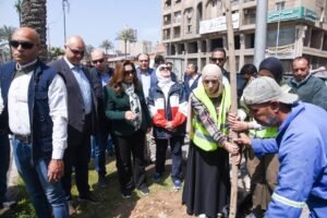 زراعة 9460 شجرة جديدة بالإسكندرية ضمن مبادرة 100 مليون شجرة