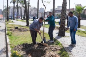 زراعة 9460 شجرة جديدة بالإسكندرية ضمن مبادرة 100 مليون شجرة