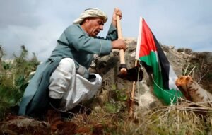 الأرض والهوية الفلسطينية.. من الزراعة إلى المصادرة بعد نكبة 1948