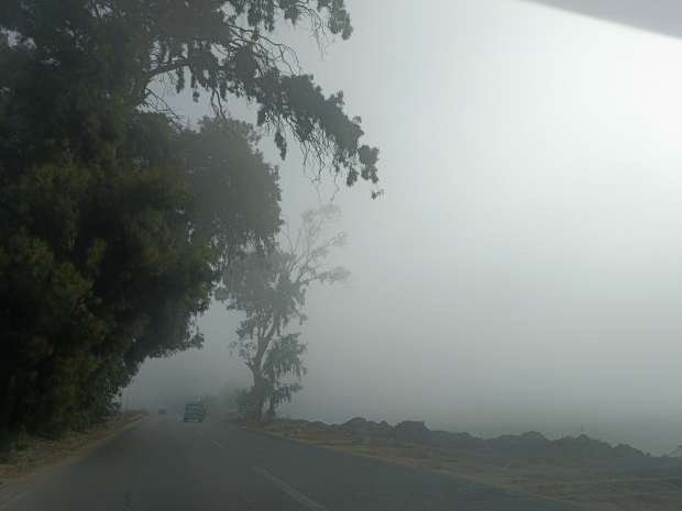 شبورة كثيفة تُغلف الأجواء صباح اليوم وتُحذر من انخفاض الرؤية على الطرق