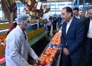 رئيس الوزراء يتفقد محطة الصواف لتعبئة الموالح والحاصلات الزراعية 3 رئيس الوزراء يتفقد محطة الصواف لتعبئة الموالح والحاصلات الزراعية