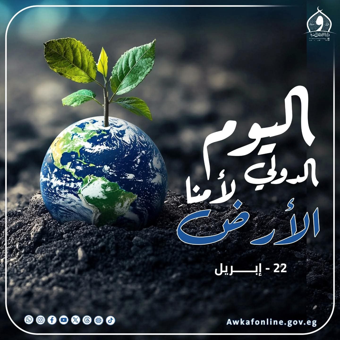 وزارة الأوقاف: الحفاظ على الأرض واجب ديني إنساني.. دعوة شاملة لحماية البيئة في اليوم العالمي للأرض