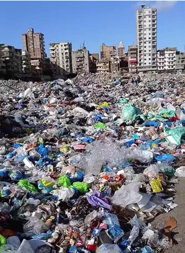 الإسكندرية تتصدى للفوضى.. رفع 1408 طن مخلفات من ٤ بؤر عشوائية بالأراضي الفضاء