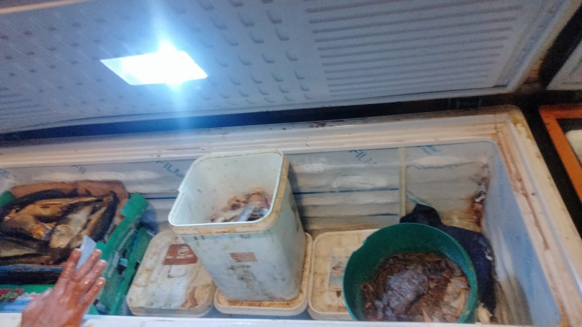 ضربة قوية للأسواق الفاسدة في الإسكندرية.. ضبط 350 كجم فسيخ غير صالح قبل تداوله للمواطنين 7 ضربة قوية للأسواق الفاسدة في الإسكندرية.. ضبط 350 كجم فسيخ غير صالح قبل تداوله للمواطنين