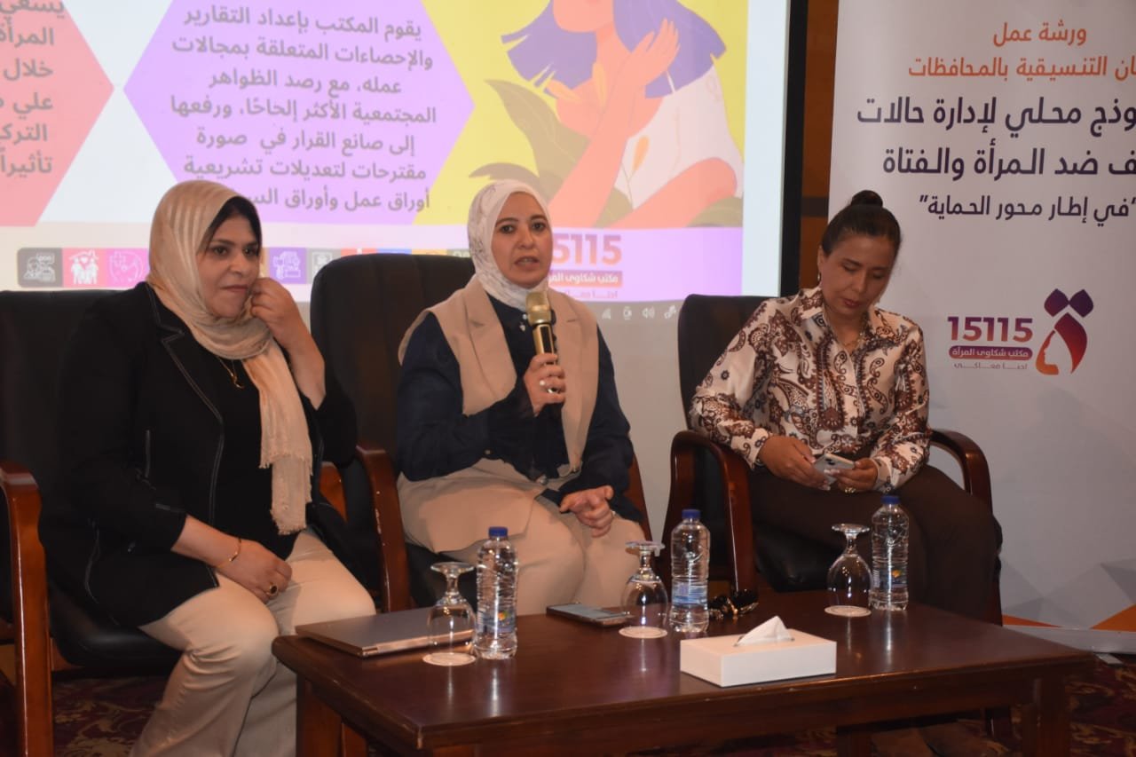 ندوة موسعة بالإسكندرية لمناهضة العنف ضد المرأة بالتزامن مع تشكيل لجنة تنسيقية دائمة