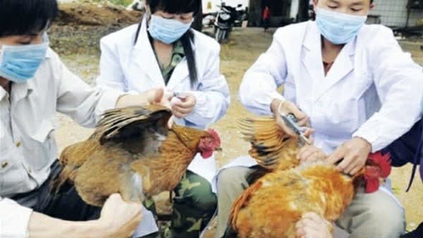حدث في مثل هذا اليوم | تسجيل أول إصابة بفيروس H7N9 في بكين