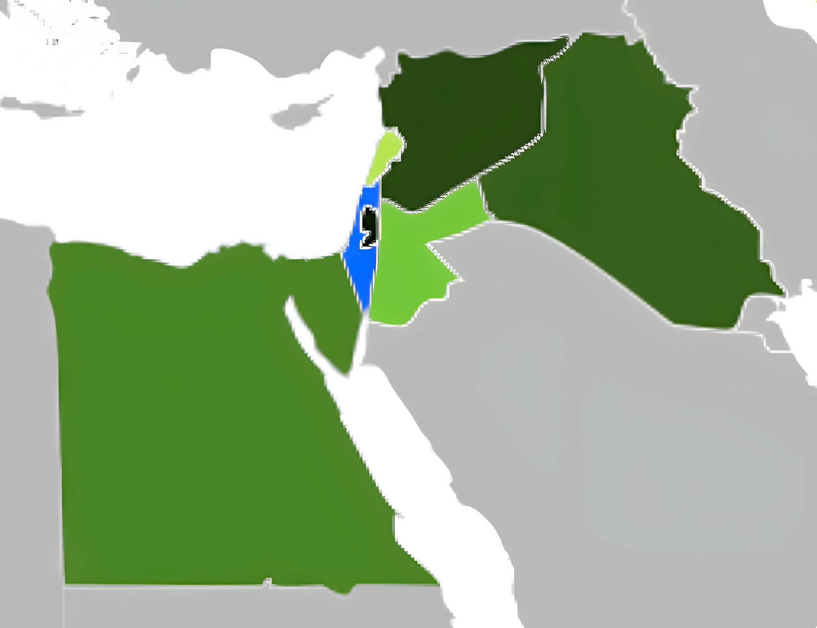 بدء مفاوضات الحكم الذاتي الفلسطيني بين مصر وإسرائيل.. محطة مفصلية في تاريخ الصراع العربي الإسرائيلي 6 بدء مفاوضات الحكم الذاتي الفلسطيني بين مصر وإسرائيل.. محطة مفصلية في تاريخ الصراع العربي الإسرائيلي