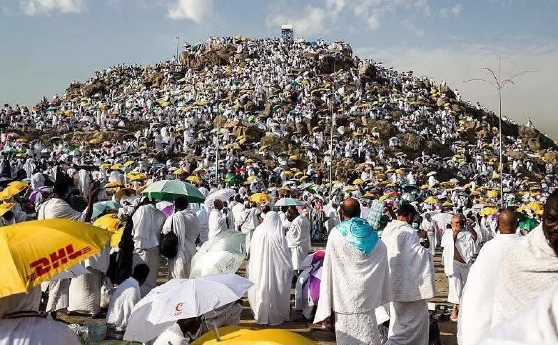 موعد وقفة عرفات وعيد الأضحى 2026 في مصر فلكيًا.. تفاصيل إجازة العيد وغرة ذي الحجة