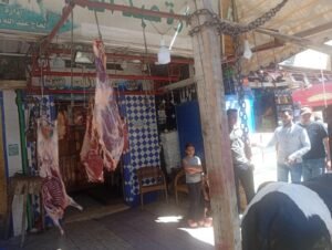 محافظة الإسكندرية تكثف حملاتها الرقابية قبل عيد الأضحى.. إعدام 176 كجم أغذية غير صالحة وتحصيل 714 ألف جنيه غرامات