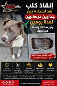 إنقاذ كلب بعد احتجازه بين جدارين خرسانيين لمدة يومين يثير تفاعلًا واسعًا في أمريكا