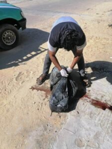 العثور على 35 كلبًا نافقًا داخل قرية سياحية بالإسماعيلية.. تحقيقات لكشف أسباب النفوق الغامض