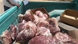 حقيقة ضبط لحوم كلاب بالجيزة.. الطب البيطري يحسم الجدل ويكشف تفاصيل حملات التفتيش على الأسواق 3 حقيقة ضبط لحوم كلاب بالجيزة.. الطب البيطري يحسم الجدل ويكشف تفاصيل حملات التفتيش على الأسواق