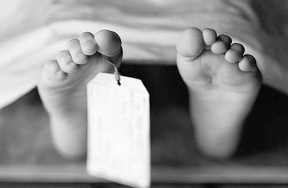 مصرع طفلة بلدغة ثعبان في الشرقية.. ثالث حالة وفاة خلال أيام تثير حالة من القلق بمنيا القمح 2 مصرع طفلة