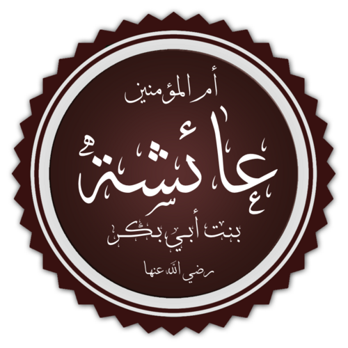 ذكرى رحيل السيدة عائشة رضي الله عنها.. أم المؤمنين التي بقي علمها نورًا للأمة 7 السيدة عائشة