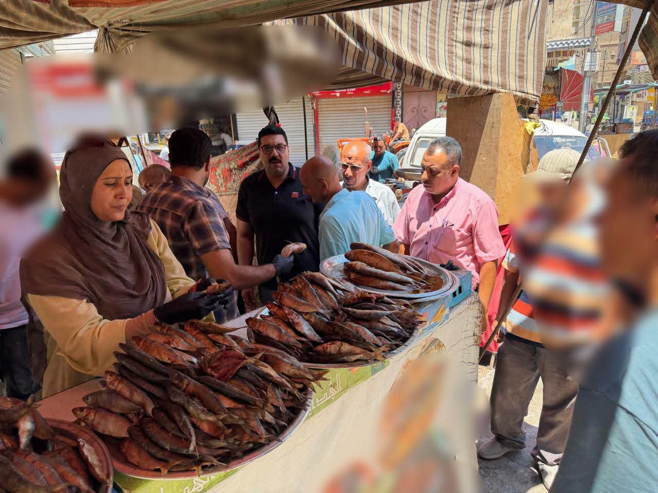 محافظة المنوفية