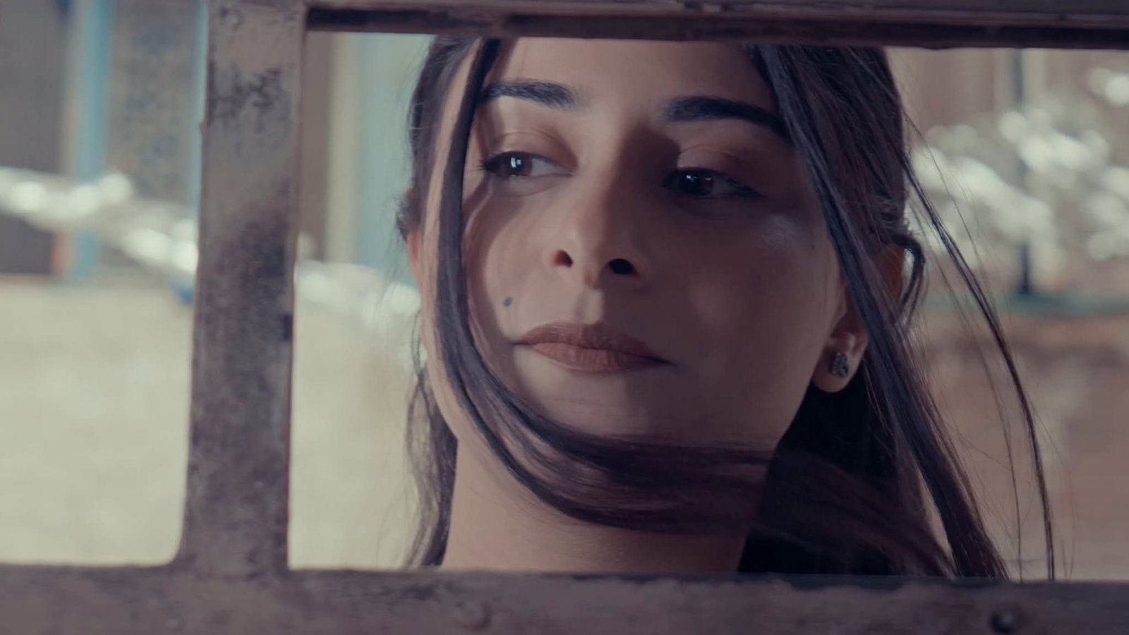 وصل «الشباك» إلى نصف نهائي مهرجان Caçador de Filmes 5 الشباك