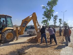 المبادرة الرئاسية لزراعة 100 مليون شجرة تتوسع في الإسكندرية.. تشجير الطرق والمدارس والمحاور الرئيسية ضمن المرحلة الرابعة 4 المبادرة الرئاسية لزراعة 100 مليون شجرة تتوسع في الإسكندرية.. تشجير الطرق والمدارس والمحاور الرئيسية ضمن المرحلة الرابعة
