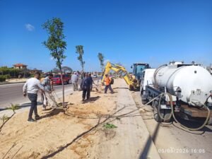 المبادرة الرئاسية لزراعة 100 مليون شجرة تتوسع في الإسكندرية.. تشجير الطرق والمدارس والمحاور الرئيسية ضمن المرحلة الرابعة 5 المبادرة الرئاسية لزراعة 100 مليون شجرة تتوسع في الإسكندرية.. تشجير الطرق والمدارس والمحاور الرئيسية ضمن المرحلة الرابعة