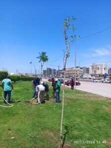 المبادرة الرئاسية لزراعة 100 مليون شجرة تتوسع في الإسكندرية.. تشجير الطرق والمدارس والمحاور الرئيسية ضمن المرحلة الرابعة 15 المبادرة الرئاسية لزراعة 100 مليون شجرة تتوسع في الإسكندرية.. تشجير الطرق والمدارس والمحاور الرئيسية ضمن المرحلة الرابعة