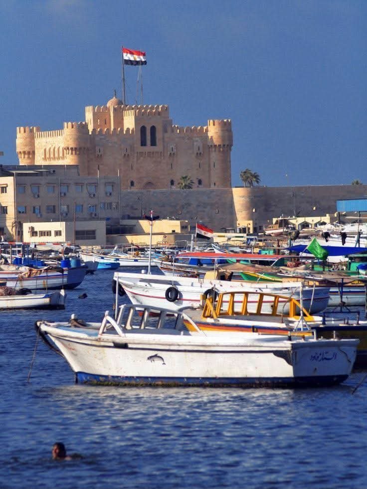 منصة حافز للدعم المالي والفني للقطاع الخاص.. محافظة الإسكندرية تدعو الشركات للمشاركة في الجلسة التعريفية الرابعة 4 منصة حافز للدعم المالي والفني للقطاع الخاص.. محافظة الإسكندرية تدعو الشركات للمشاركة في الجلسة التعريفية الرابعة