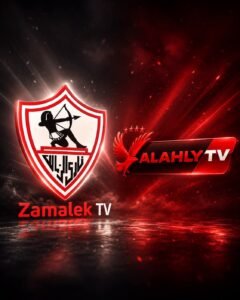 بيان المجلس الأعلى لتنظيم الإعلام يشيد بتطور أداء قناة الأهلي وقناة وراديو الزمالك