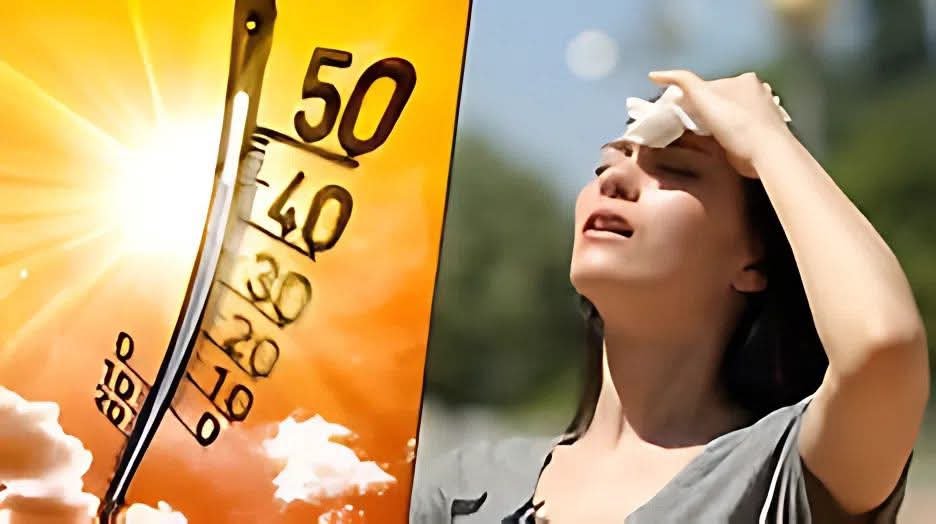 طقس شديد الحرارة اليوم.. المحسوسة تصل إلى 43 درجة وتحذيرات من الشبورة والأمطار 3 طقس شديد الحرارة اليوم.. المحسوسة تصل إلى 43 درجة وتحذيرات من الشبورة والأمطار
